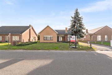 Woning Te koop Berlare