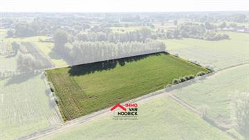 Landbouwgrond Te koop Laarne