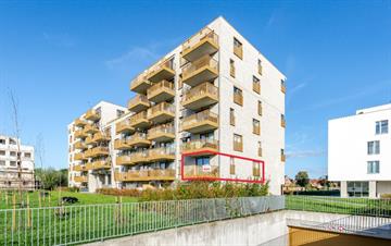 Appartement Te koop Lokeren